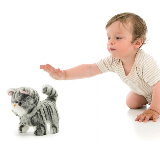 خرید اینترنتی عروسک کودک گربه ببری Pugs At Play مدل Zoe | فروشگاه اینترنتی سیسمونی و اسباب بازی بیبی پرو
