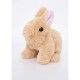 خرید اینترنتی عروسک کودک خرگوش قهوه ای Pugs At Play مدل Cookie | فروشگاه اینترنتی سیسمونی و اسباب بازی بیبی پرو