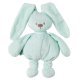 خرید اینترنتی عروسک پولیشی کودک ناتو Nattou مدل خرگوش سبز Lapidou