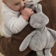 خرید اینترنتی عروسک پولیشی ناتو Nattou مدل خرگوش خاکستری Lapidou | فروشگاه اینترنتی سیسمونی و اسباب بازی بیبی پرو