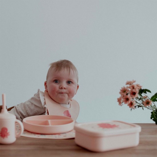 خرید اینترنتی لانچ باکس سیلیکونی طرح اختاپوس ساسی Sassi | فروشگاه اینترنتی سیسمونی و اسباب بازی بیبی پرو