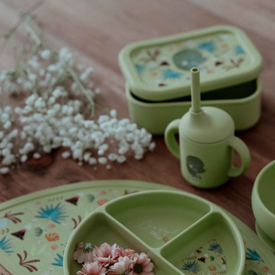 خرید اینترنتی لانچ باکس سیلیکونی طرح دایناسور ساسی Sassi | فروشگاه اینترنتی سیسمونی و اسباب بازی بیبی پرو