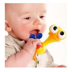 پرنده چشم گردان تولو Tolo