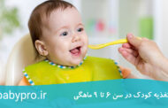 تغذیه کودک در سن 6 تا 9 ماهگی