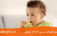 تغذیه کودک در سن 9 تا 12 ماهگی